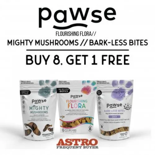 Promotion Image