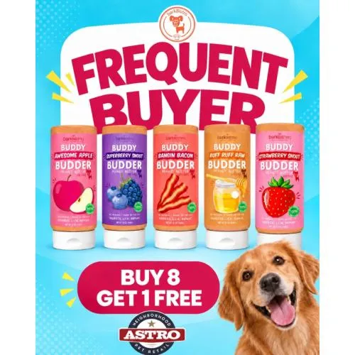 Promotion Image