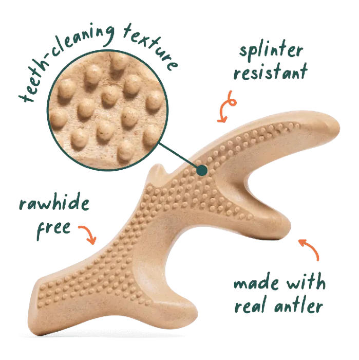 Woof Dog Toy Honestchew Antler LG