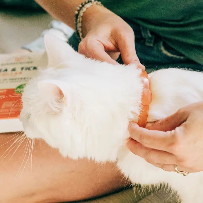 Wondercide Flea Tick Collar For Cats Peppermint