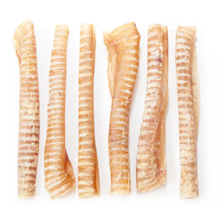 Tuesday's Bf Trachea 12"