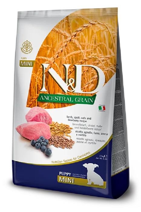 FA Puppy Mini Anc Grain Lamb Blueberry 5#