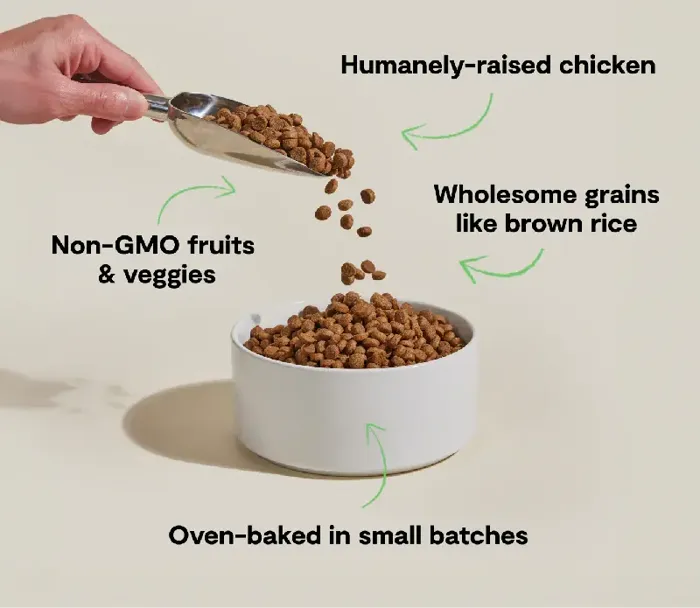Open Farm GoodBowl Chicken & Brown Rice Dog 3.5#