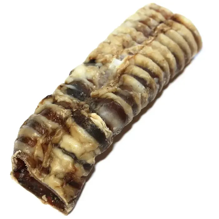 Tuesday's Beef Trachea 6''