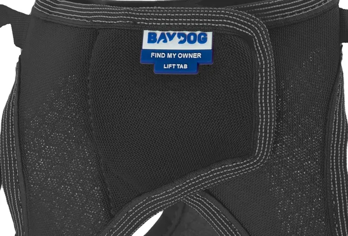 Bay Dog Liberty Bay harness black medium owner tag close-up