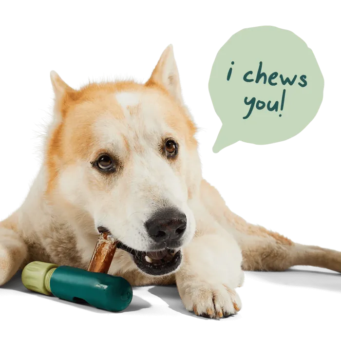 Woof Bully Safe Chew Holder