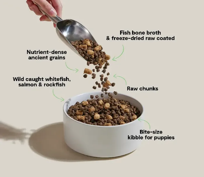 Open Farm RawMix Puppy Ancient Grains fish kibble bowl
