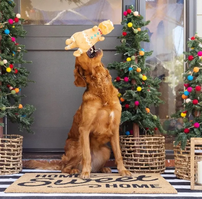 Fringe Studio Cookie-Saurus plush dog toy holiday play