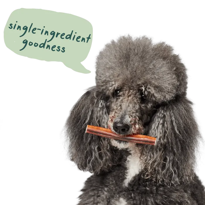 Woof Dog Bully Safe Collagen 12" 5pk