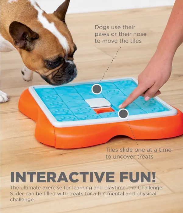 Outward Hound Dog Game Challenge Slider Level 3