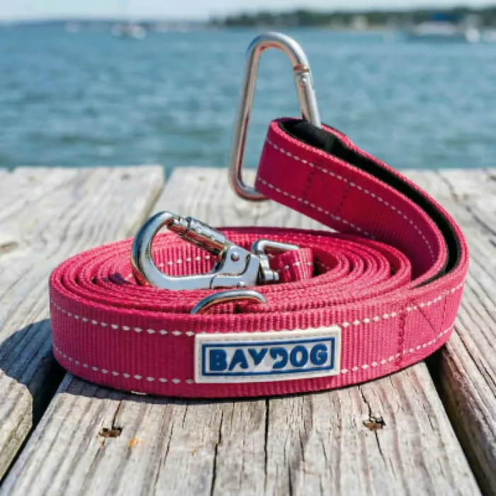 Bay Dog Hudson Sunset Pink 6-Foot Leash on Dock