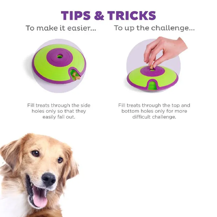 Outward Hound Treat Game Maze Level 2