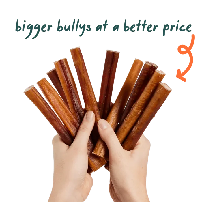 Woof Dog Bully Safe Collagen 12" 10pk