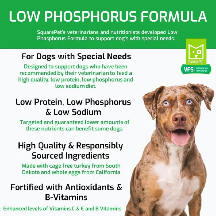 SquarePet Vet ted Low Phosphorus 22#