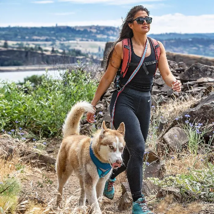 Kurgo 6 In1 Quantum Leash, Blue**sale**x