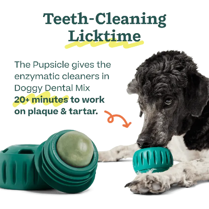 Woof Dog Pupscicle Treat Mix Dental 5oz