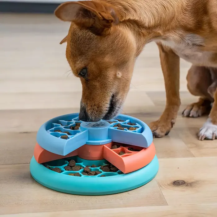 Outward Hound Dog Interactive Puuzzle Game & Slow Feeder