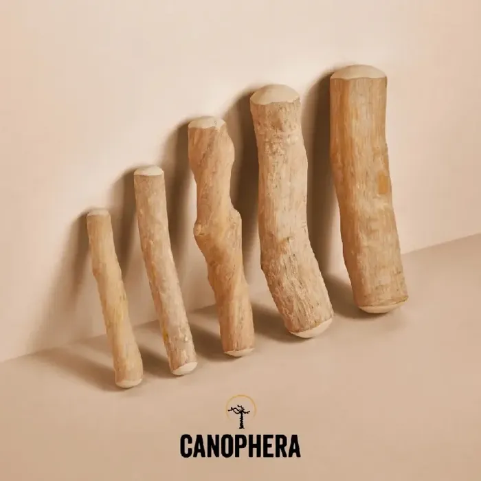 Canophera Coffee Wood Chew Stick Medium
