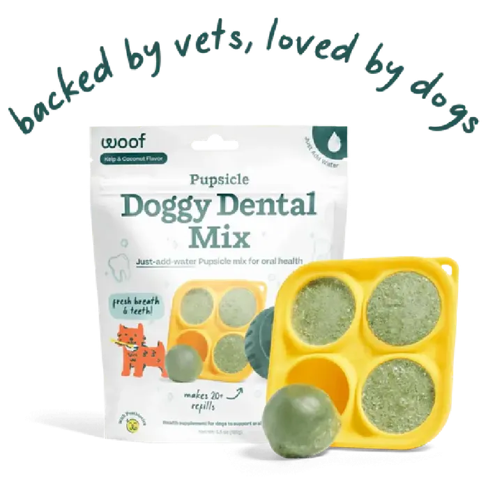 Woof Dog Pupscicle Treat Mix Dental 5oz