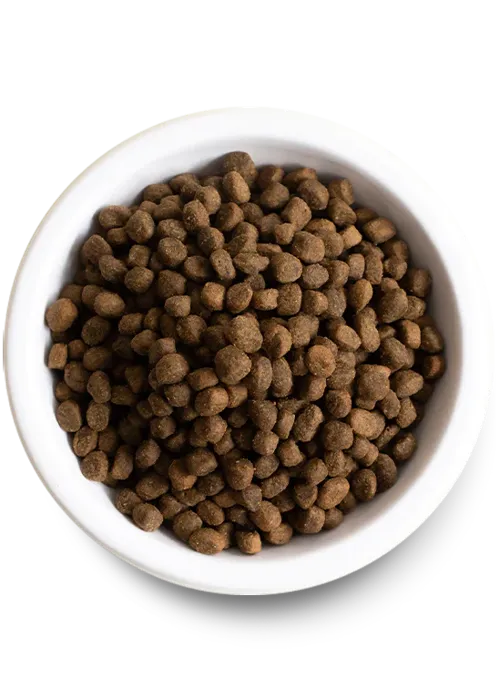 OF Dog Dry Bf Ancient Grain 22#