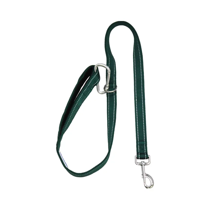 Baydog Hudson Dog Leash, Green, 6-ft full view