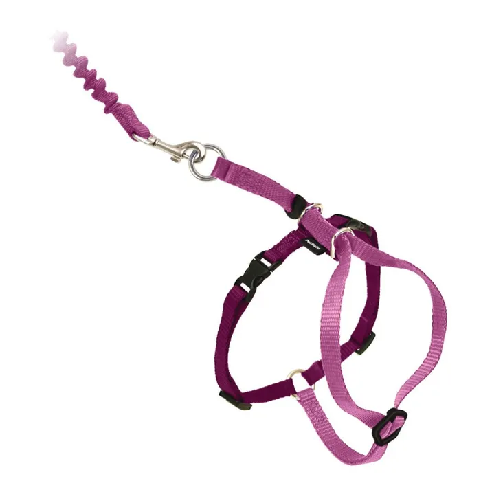 Harness & Bungee Leash Small Dusty Rose