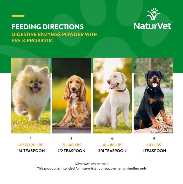 Naturvet Digestive Enzymes & Probiotics 4-oz