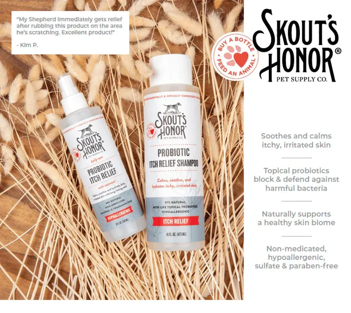 SH Shampoo Probiotic Itch Relief 16-oz