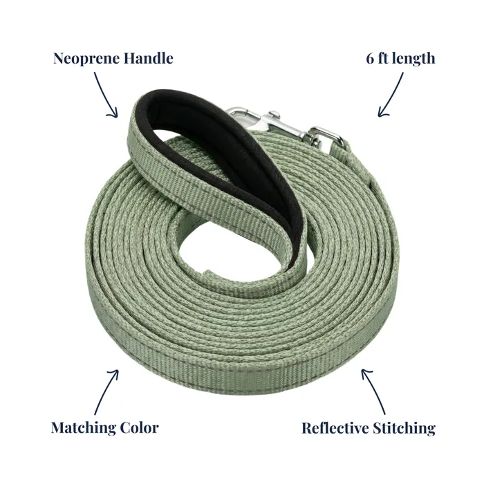 BayCat Coastal Fern Large leash details