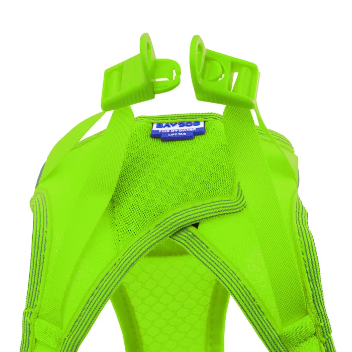 Baydog Liberty Bay Harness Key Lime Small buckle detail