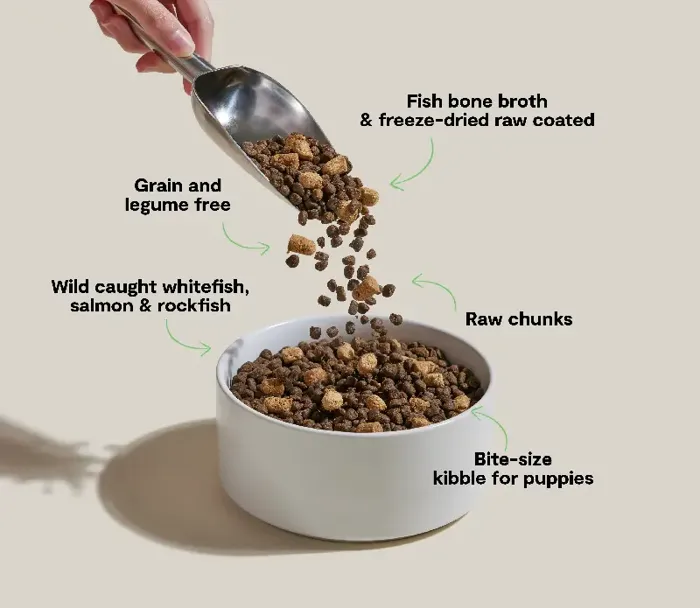 Open Farm Dog Dry Raw Mix Gf Puppy 3.5#