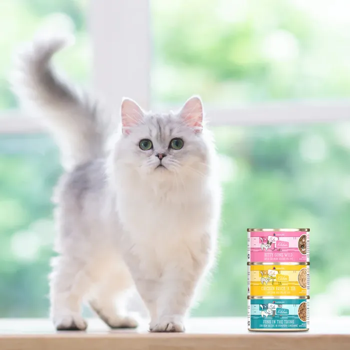 Weruva Cat CITK Fowl Ball 3oz