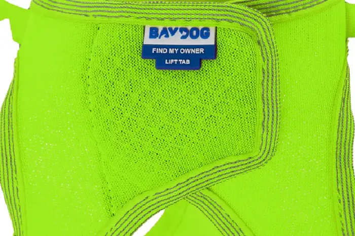 Baydog Liberty Bay Harness Key Lime Small owner tag close-up
