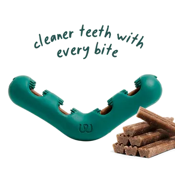 Woof Bite N Brush Toy LG