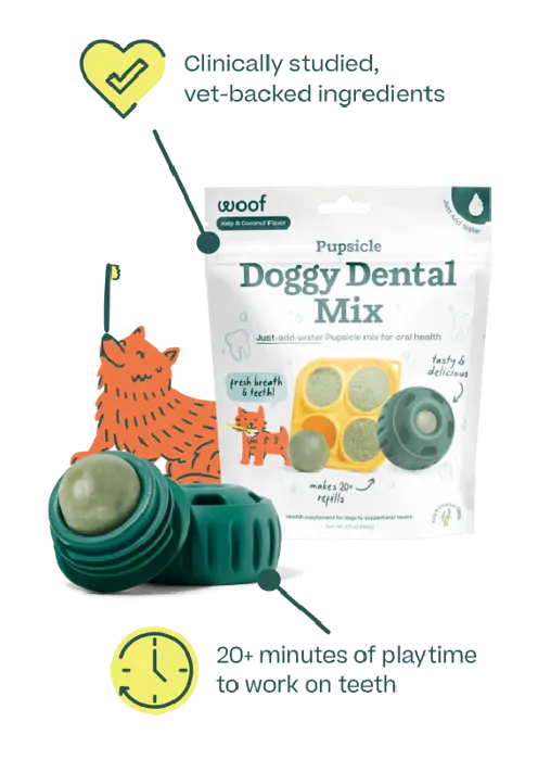 Woof Dog Pupscicle Treat Mix Dental 5oz