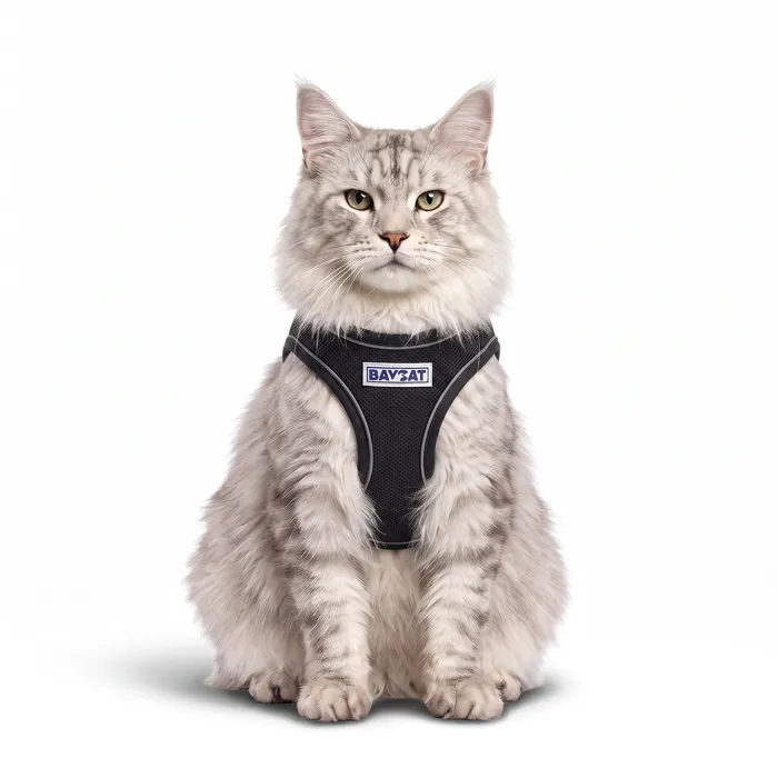 Baydog Baycat Harness Covert Black large cat view