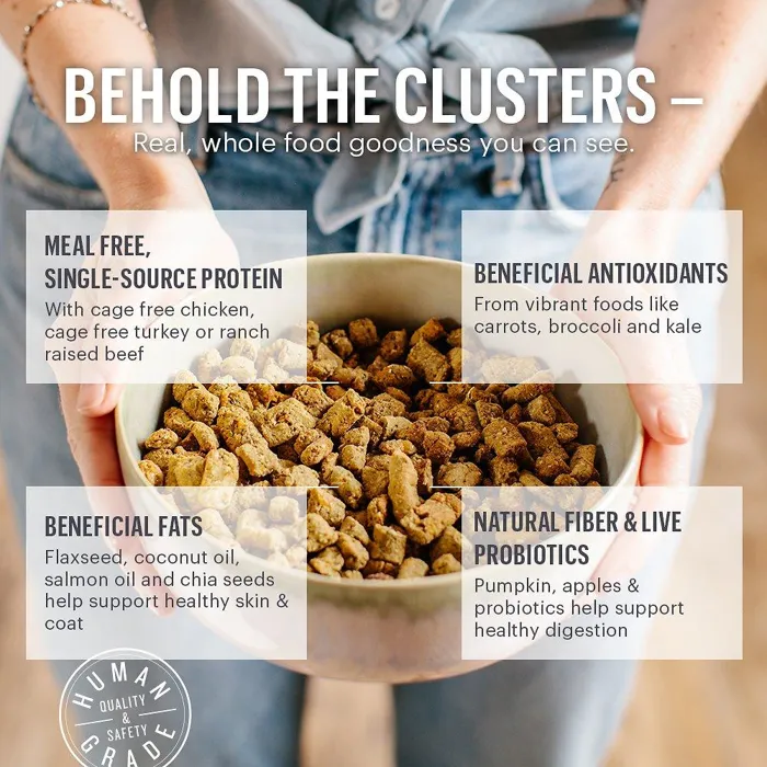 Clusters Grain Free Beef Dry Dog Food 20-lb