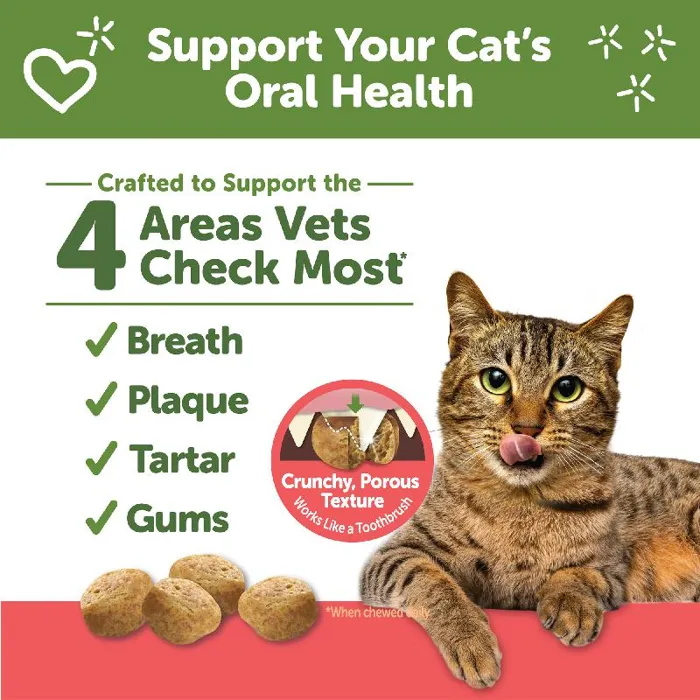 Cat Dental Treats Chicken And Salmon Flavor - 2oz