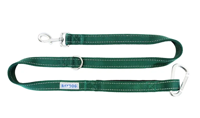 Baydog Hudson Dog Leash, Green, 6-ft flat lay