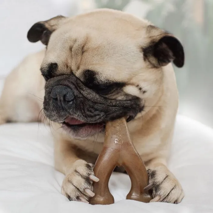 Benebone Wishbone Peanut SM