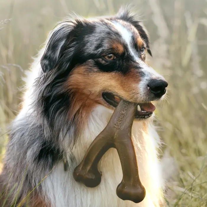 Benebone Wishbone Ckn MD