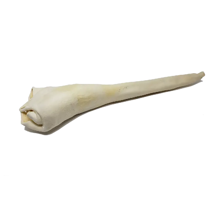 Home Range Bull Tail Full Length