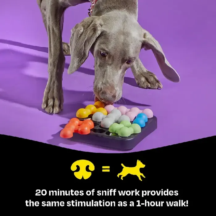 Brightkins Kanoodle Dog Edition Small puzzle with dog