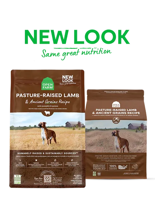 Open Farm D Dry Lamb Ancient Grain 22-lb