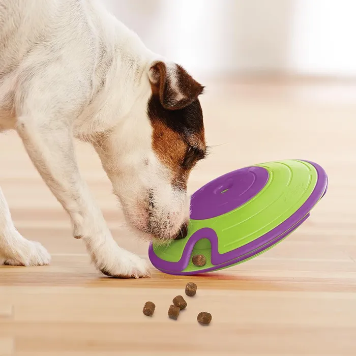Outward Hound Treat Game Maze Level 2