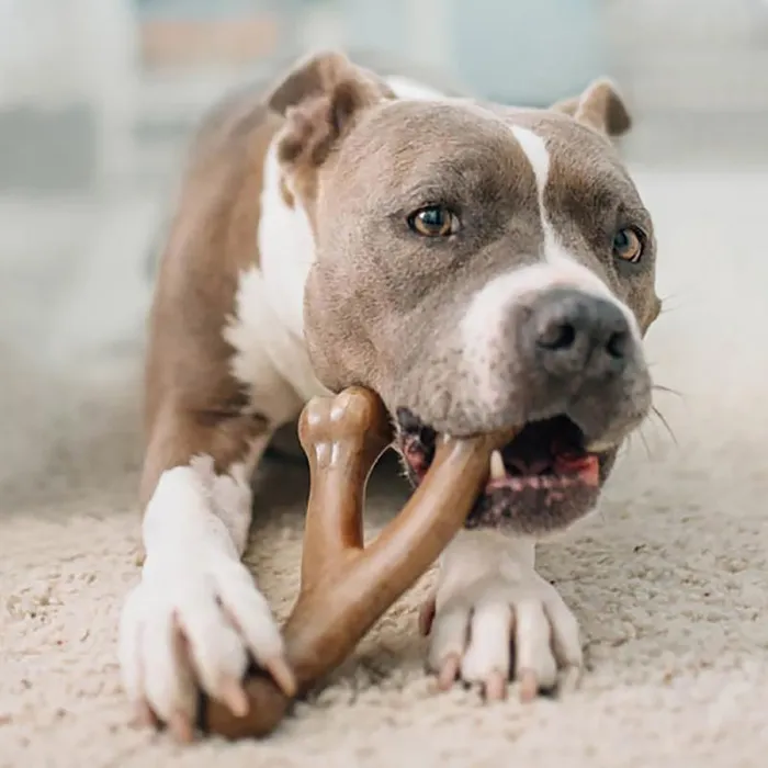 Benebone Wishbone Bacon LG