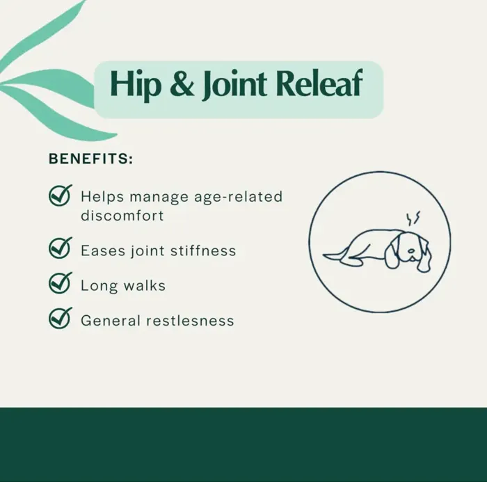 Pet Releaf Hip & Joint 600 Hemp Oil 1-oz