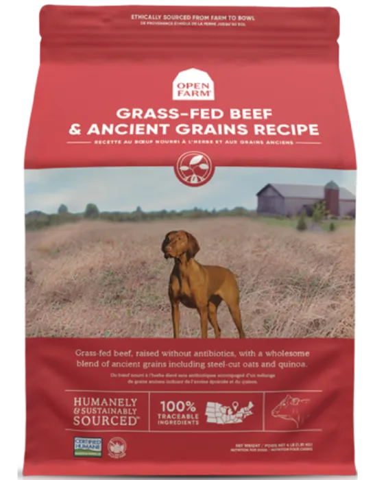 OF Dog Dry Bf Ancient Grain 22#