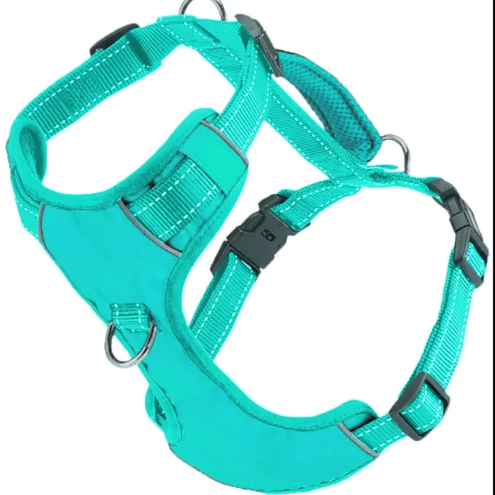 Bay Dog Chesapeake Harness Sea Foam Medium angled view