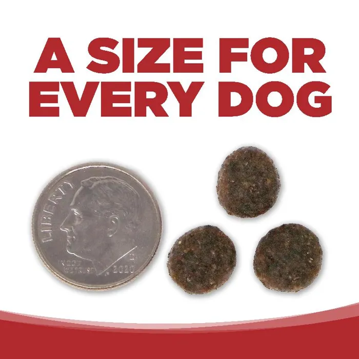 Pure Vita Dog Bf & Red Lentils GF 12#